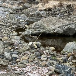 待ちに待った解禁！