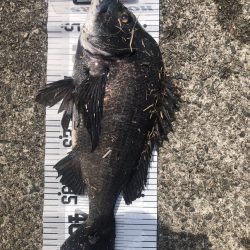 イチノ兄弟！釣果。