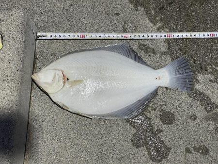 初めての森一　カレイの花