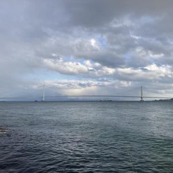 寒グレとカサゴとメバル