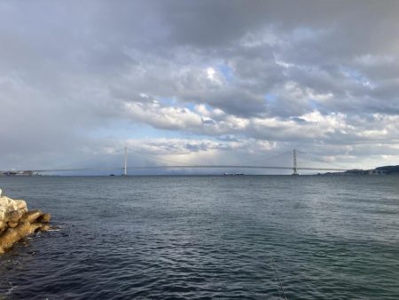 寒グレとカサゴとメバル