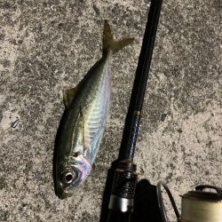 オルタナティブな釣り