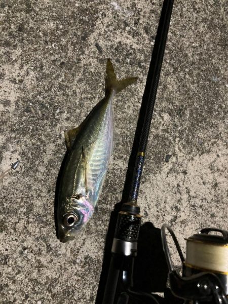 オルタナティブな釣り