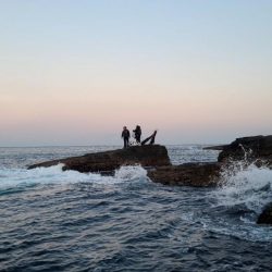 和歌山市江（吉丸渡船）でグレ釣り