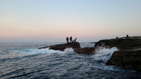 和歌山市江（吉丸渡船）でグレ釣り