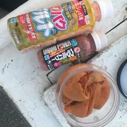 室津カットウフグ