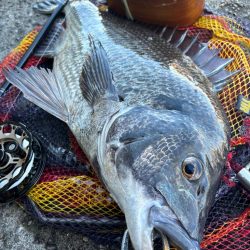 ヘチってきました