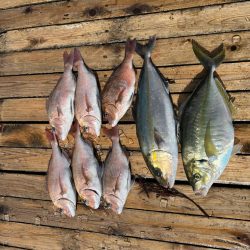 海上釣り堀 辨屋