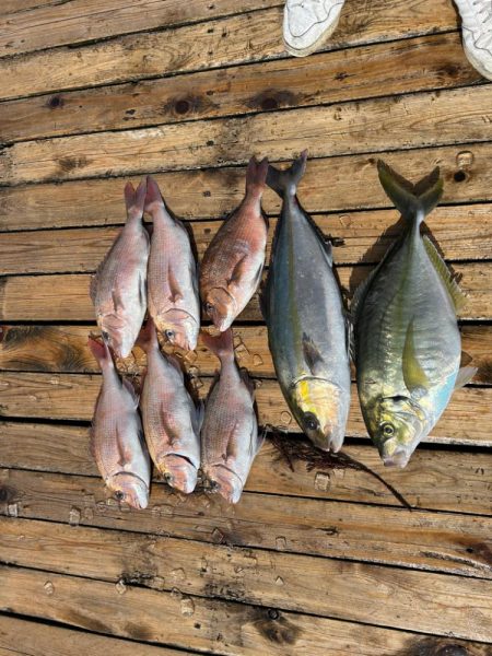 海上釣り堀 辨屋