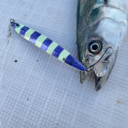 サワラ/ブレードジギング