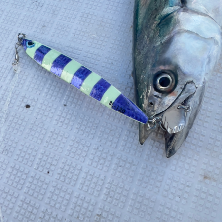 サワラ/ブレードジギング