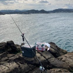 田辺の沖磯でカゴ釣り
