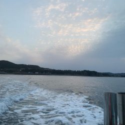 渋い中なんとかボウズのがれ