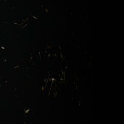 ノッコミチヌ!!