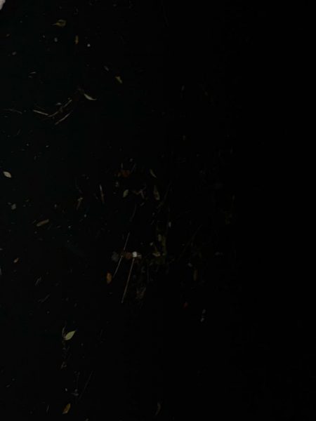 ノッコミチヌ!!