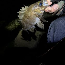 強風ライトゲーム