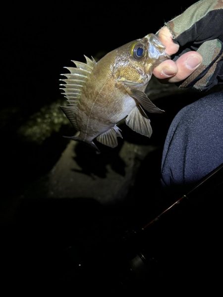 強風ライトゲーム