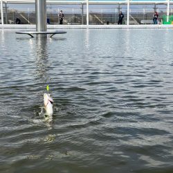 3月なのに今期1番寒い日釣行