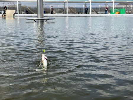 3月なのに今期1番寒い日釣行