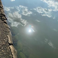 今日も今日とてチニング