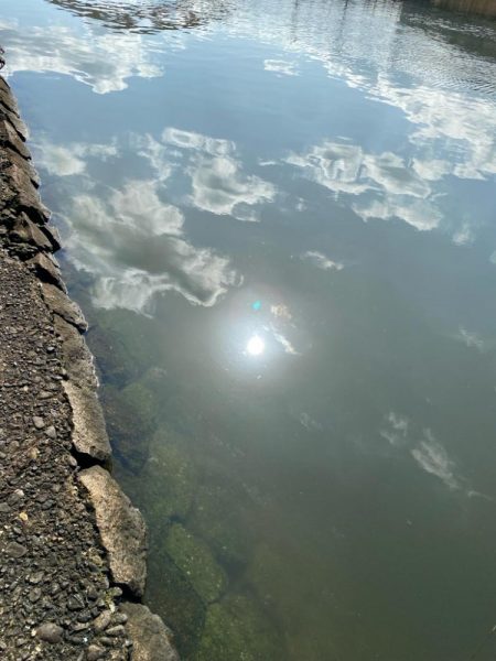 今日も今日とてチニング