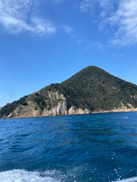 チヌに好かれてます