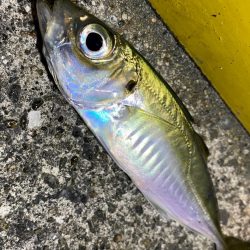 爆風ライトゲーム