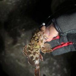 久しぶりの集合