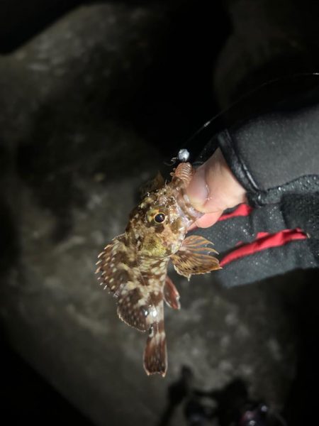 久しぶりの集合