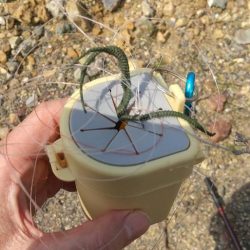 清掃活動：春めく