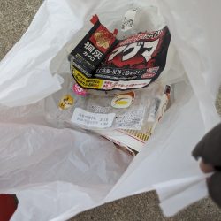 清掃活動：ヤリイカ・メバル