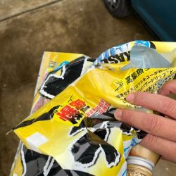 清掃活動：ノッコミのチヌを釣る予定でしたが…