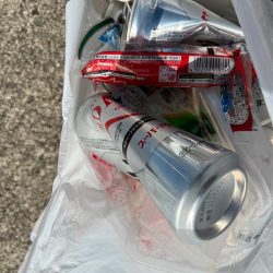 清掃活動：チヌのノッコミ始まりました