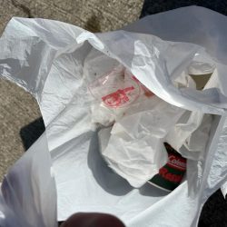 清掃活動：おチヌさんノッコミ中です