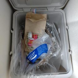 清掃活動：今年初のボートアジング！（鱸乱舞…