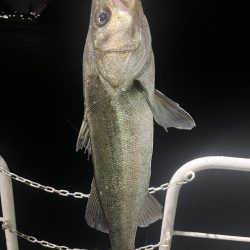 津久見沖防波堤近く