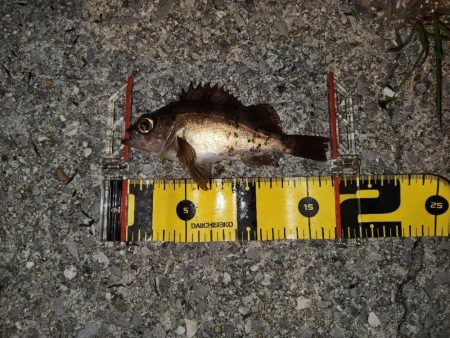 メバリングイベント