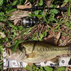 ウキウキパターン