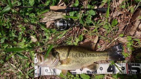 ウキウキパターン