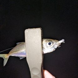 この時期に！？