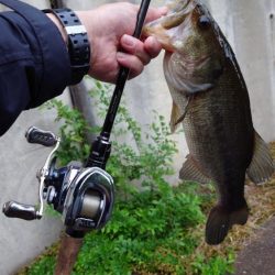 クランキング！