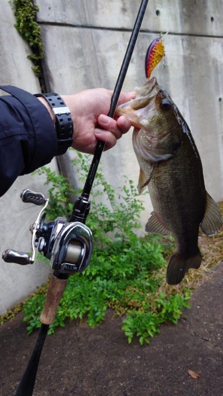 クランキング！