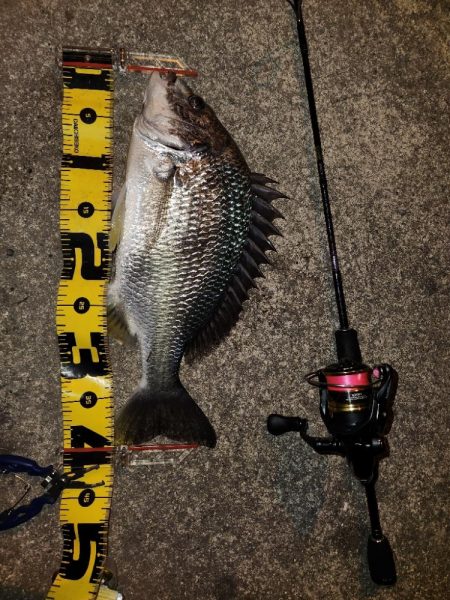 メバリングイベント