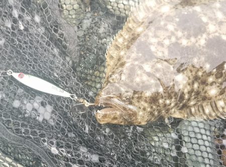 初めてのフラットフィッシュ