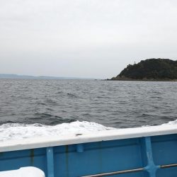 安定のクログチ