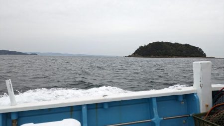 安定のクログチ