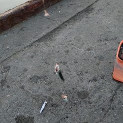 初心忘れべからず