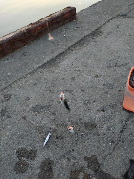 初心忘れべからず