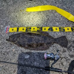 陸っぱり釣行記