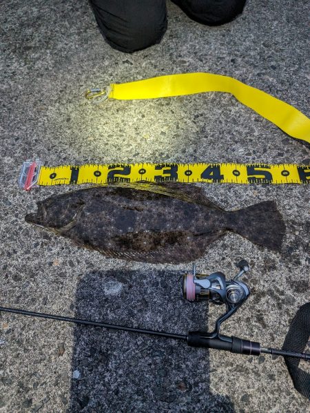 陸っぱり釣行記